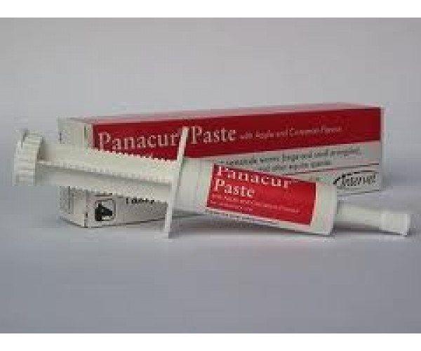 panacur giardia gatos